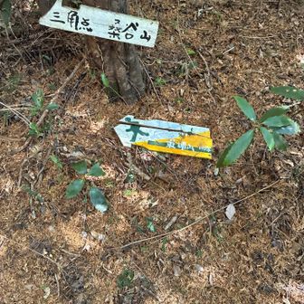 置いてあるのか、落ちたのか