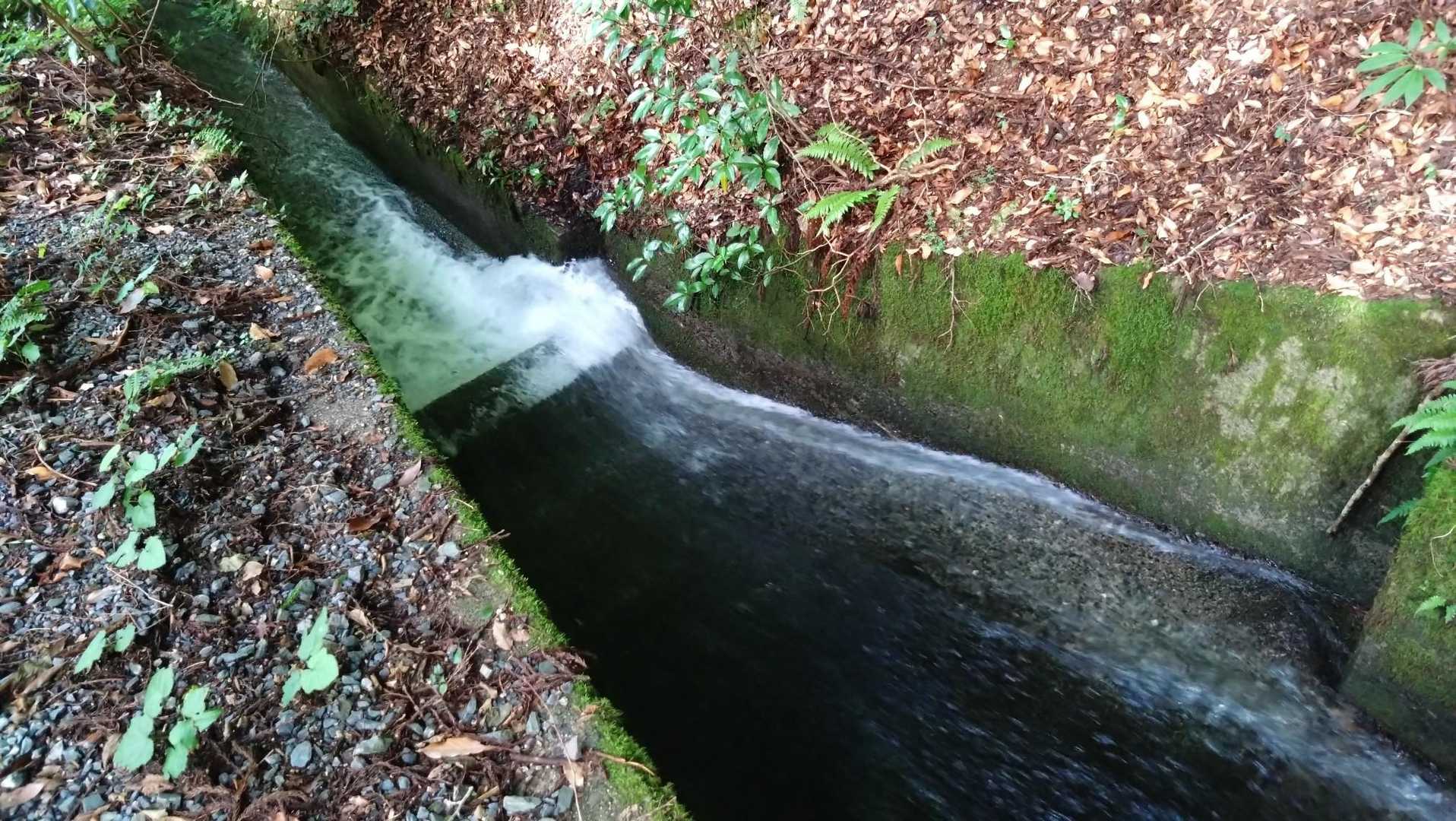 ここから蛤水道となる。
その横に登山道があり、明らかに涼しく快適✨