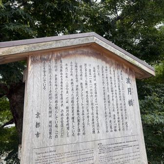 渡月橋の名前の意味初めて知った
名付けた人センスいいね👍