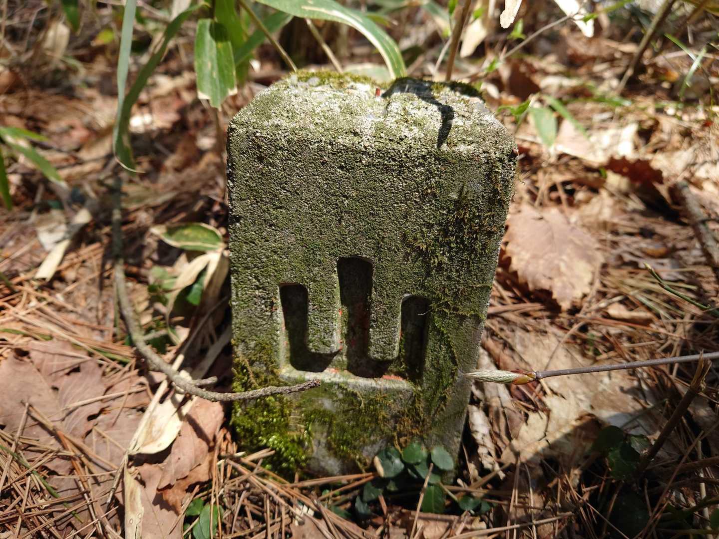 山です