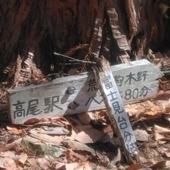 みたらしちゃん