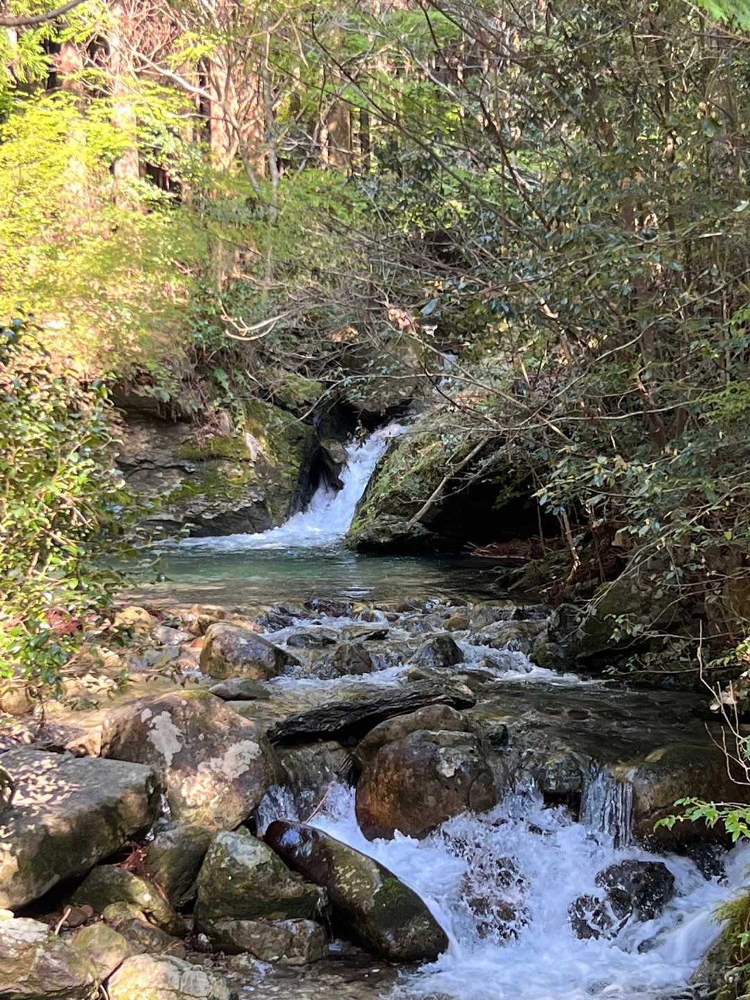 川沿い歩いて登山してます🥾