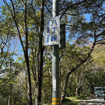 八丁峠に出ました
車道をてくてく歩いて