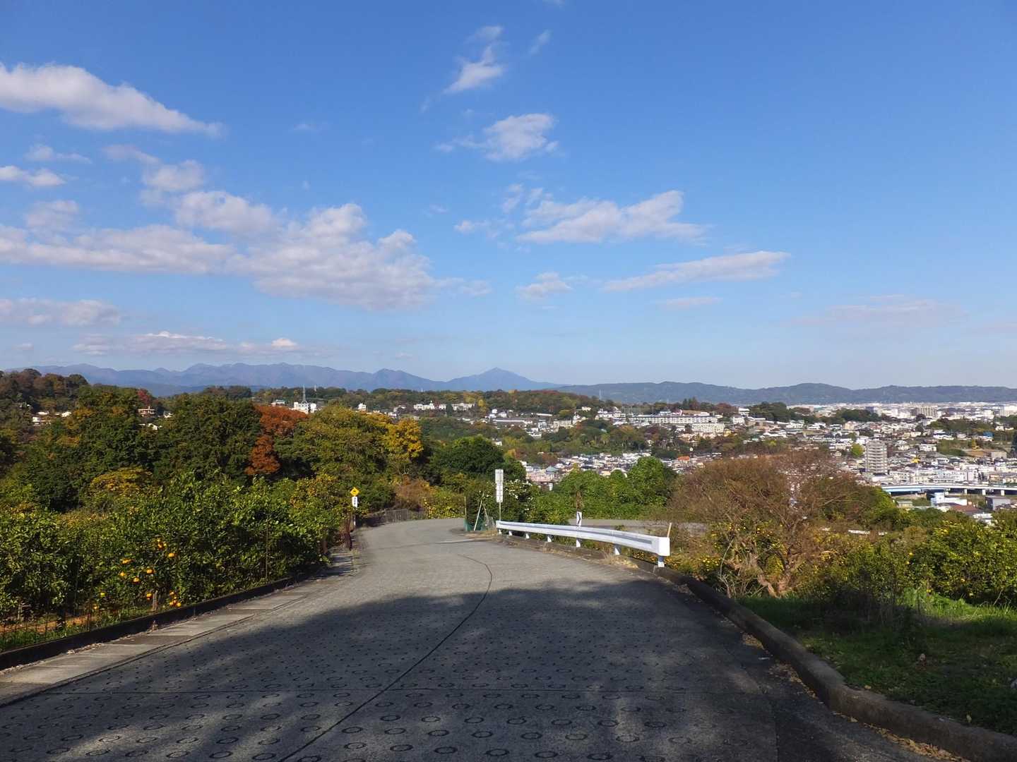 画面奥中央に大山。今年中に登ろうと思っていましたが、目標達成できず。クマも出たし。