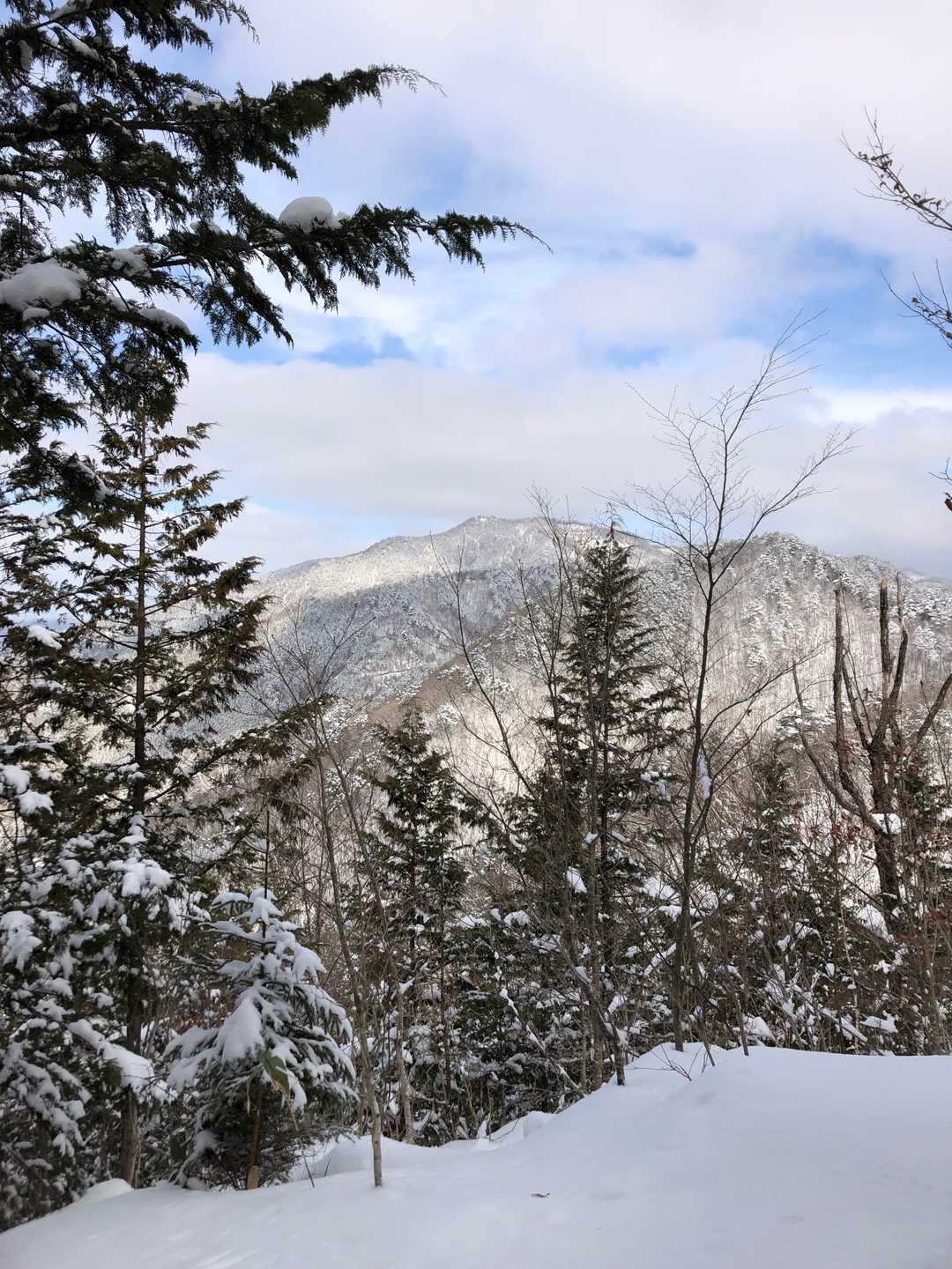 山頂から「高屹山」