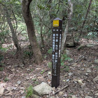 ⬅️トウェンティクロス