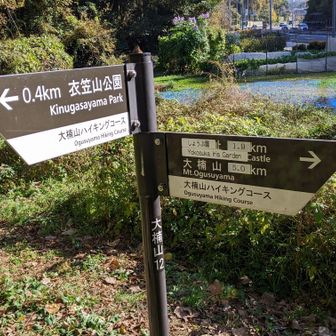 標識の方向に進むとコースアウト
道路に出たら左側へ進みます