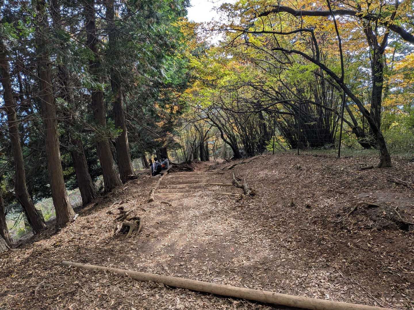 阿夫利神社下社-大山-見晴台 周回コースの写真