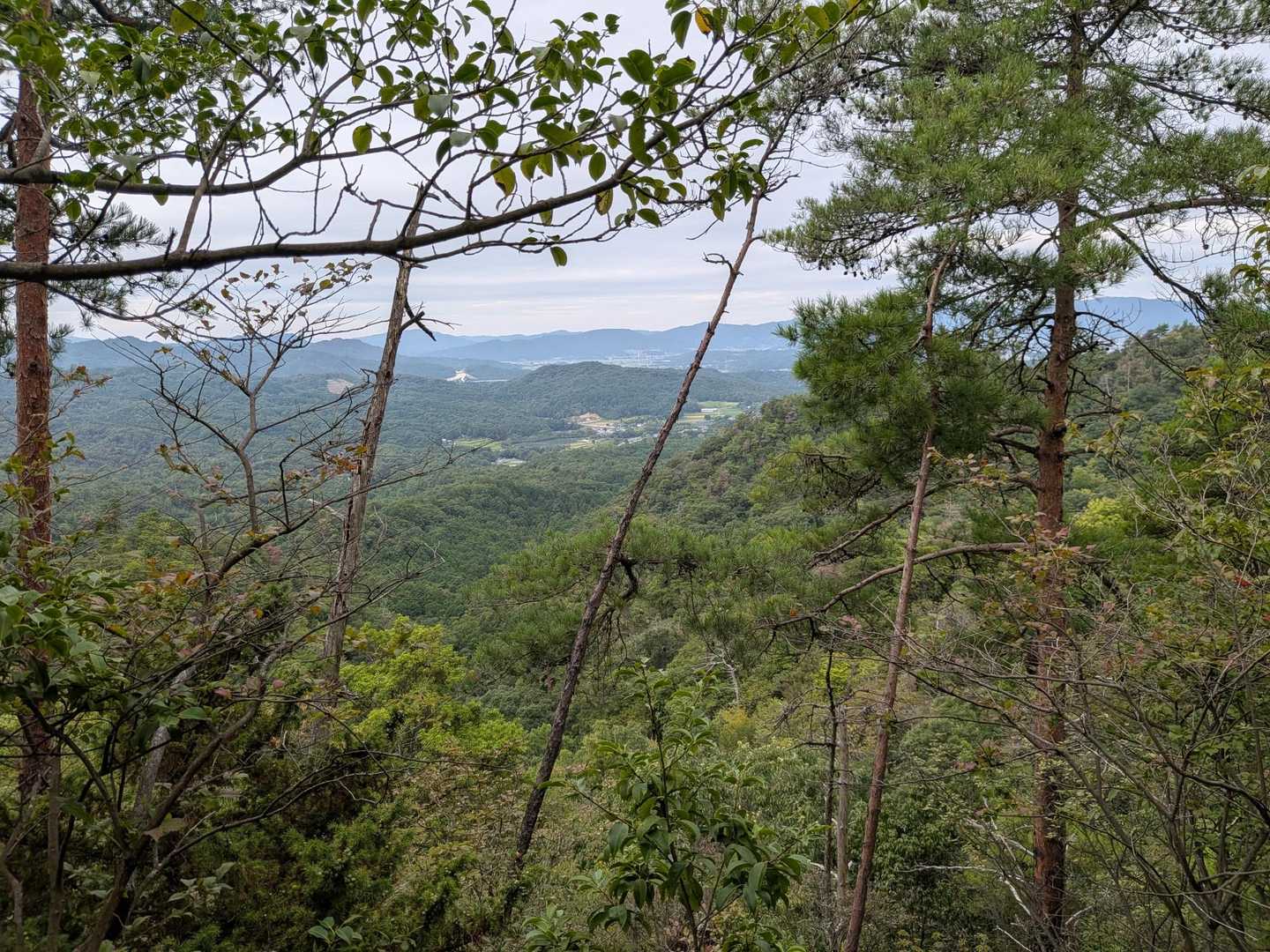 上桐生登山口-白石峰 周回コースの写真
