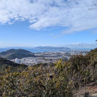 晴れて暑いくらいになってきた