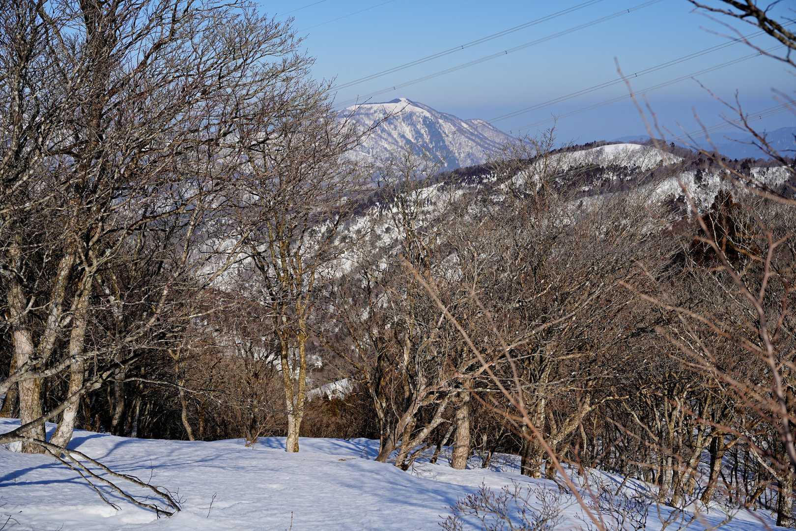 野坂山