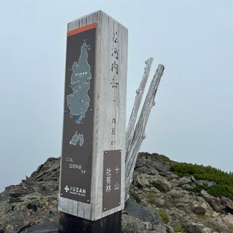 広河内岳へ
すぐかと思いきや、お山4つ超えてようやく😆
案内マークがしっかり🟡