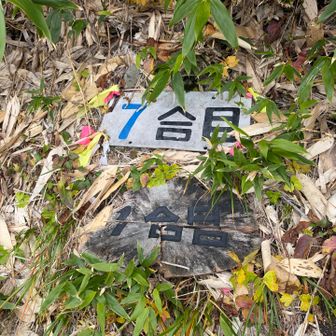 7合目
行きは見落とした