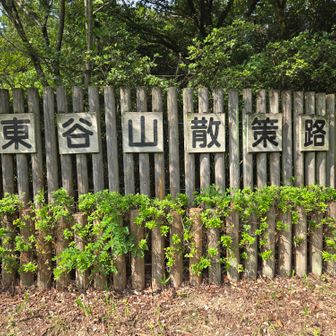 東谷山の登山口