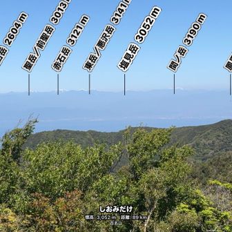 今年は赤石岳と悪沢岳