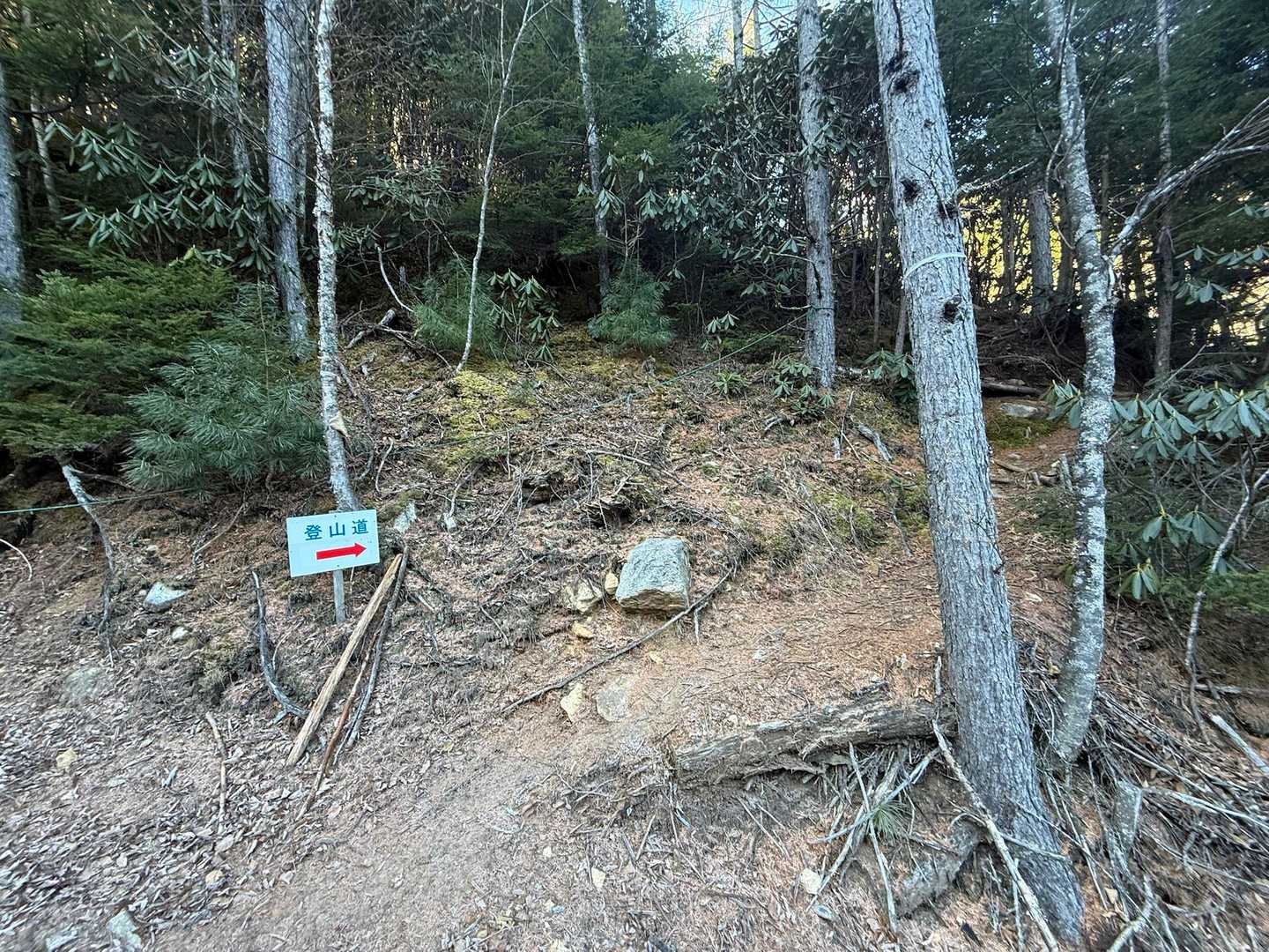 ここから登山って感じです🏔️

ワクワク☺️