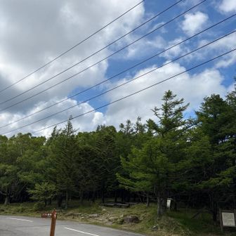 下山しました。
