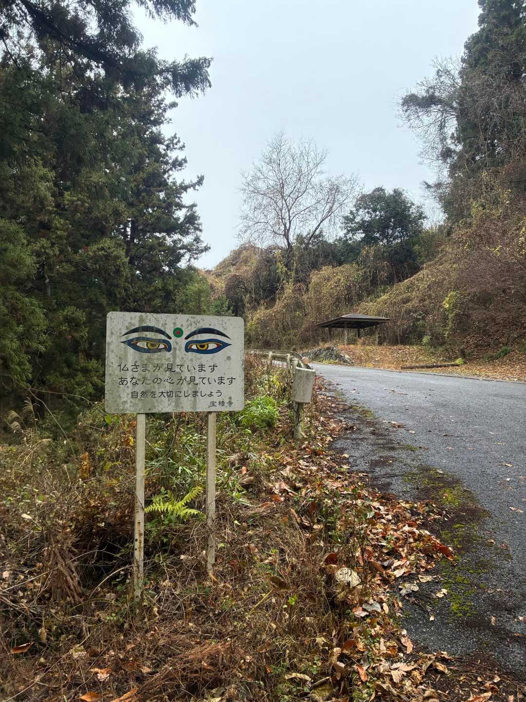 天狗山 往復コースの写真