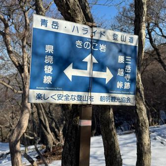 行きによらなかったきのこ岩へ