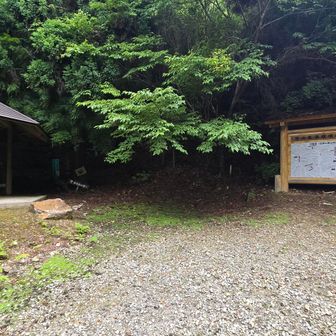 ここから登山道です
