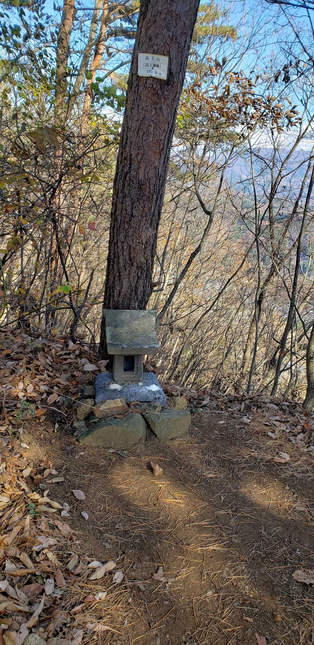 髙王山(髙王城趾)　展望はありません