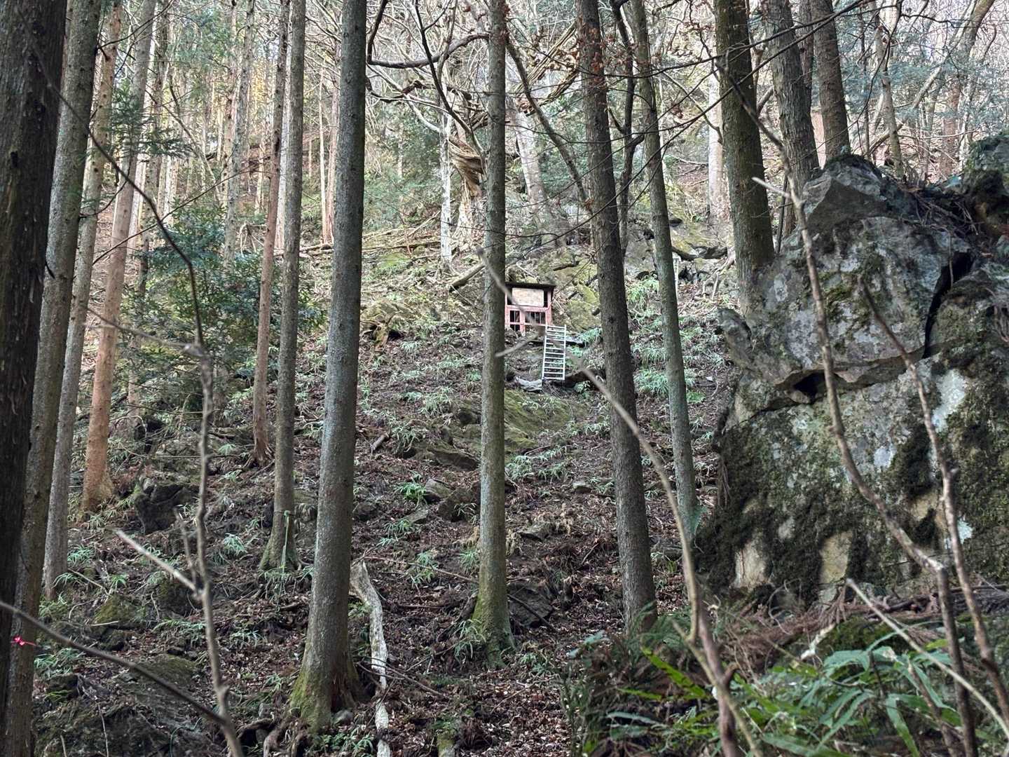 奥の院-三峰山 周回コースの写真