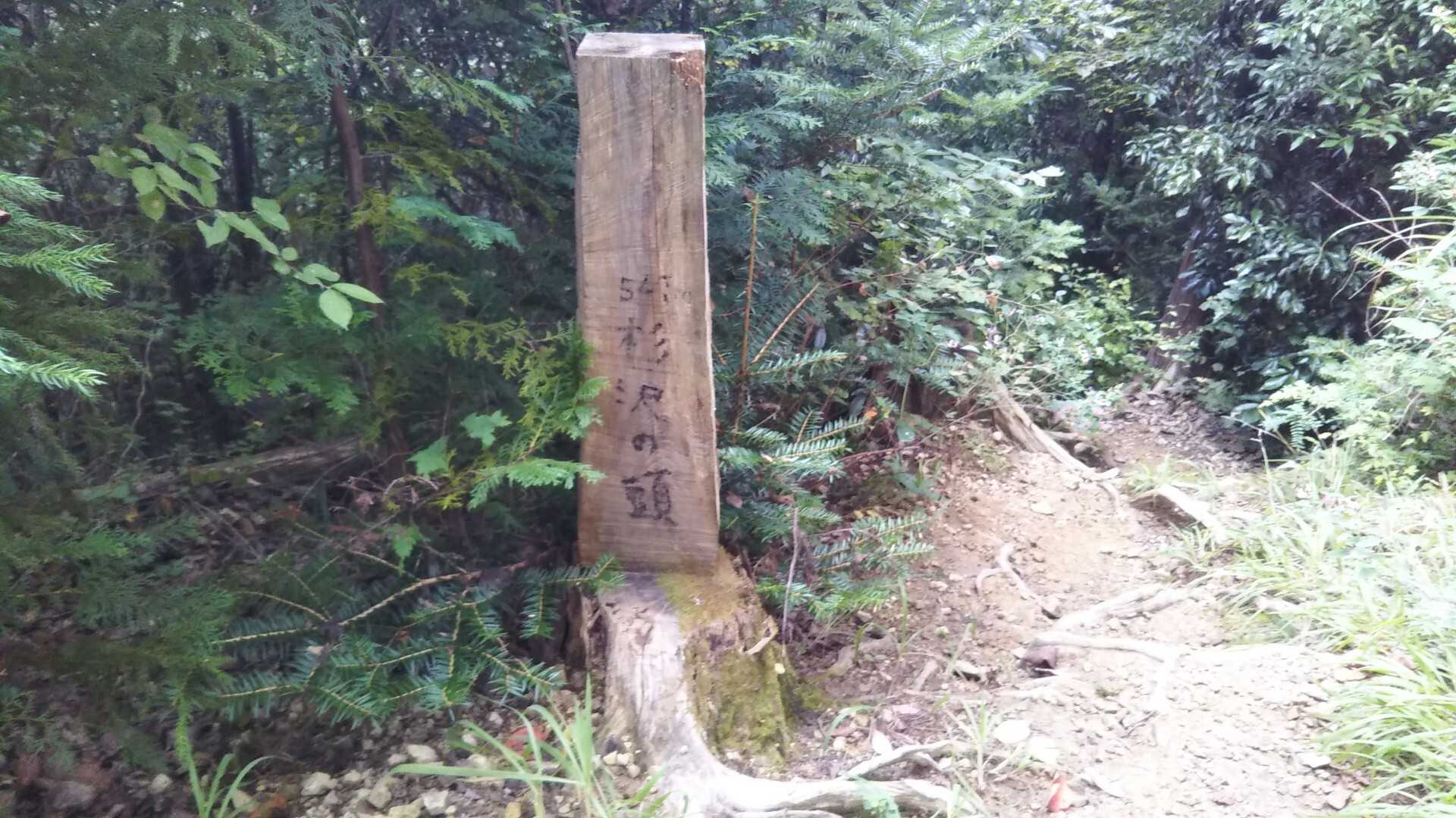 杉沢ノ頭（峰ドッケ）の写真