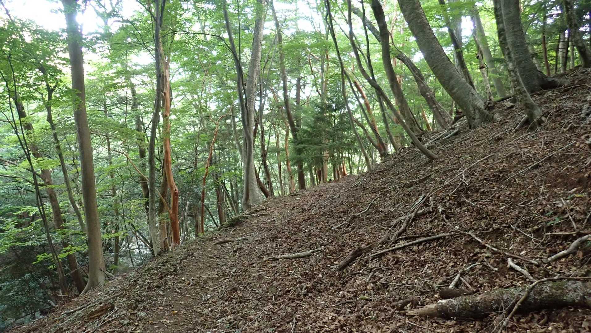 川から離れると風が無いので蒸し暑い。