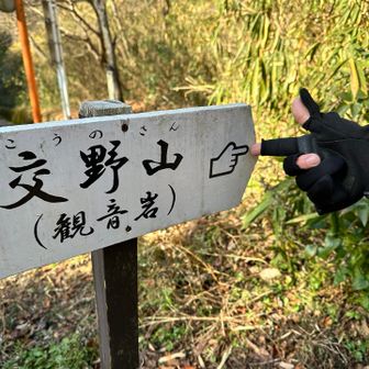 いよいよメインの交野山へ！
どっちだ？！笑