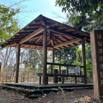 はなさき休憩所
こちらでひと休みしようと思ったけど、虫がすごくて断念🐝