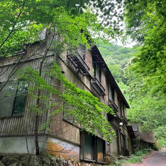 １時間半くらい下ってイン谷口に下りてきました。比良リフトの山麓駅跡、いつになったら解体するのか、それともまだ何かに使っているのかな？
あとは比良駅までテクテクあるいて、今回も無事終了しました(=^^=)
