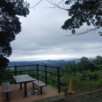 武山山頂付近