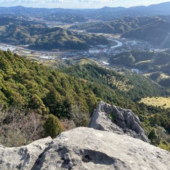 撮った写真がこちら💁