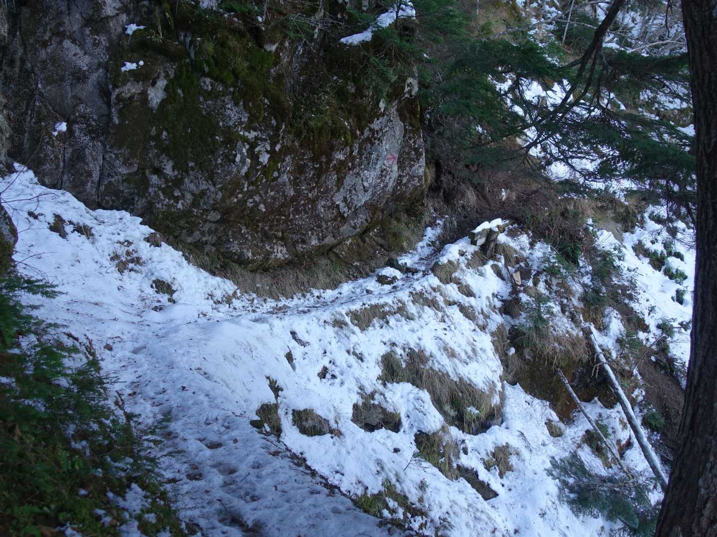 御座石鉱泉-地蔵岳 往復コースの写真
