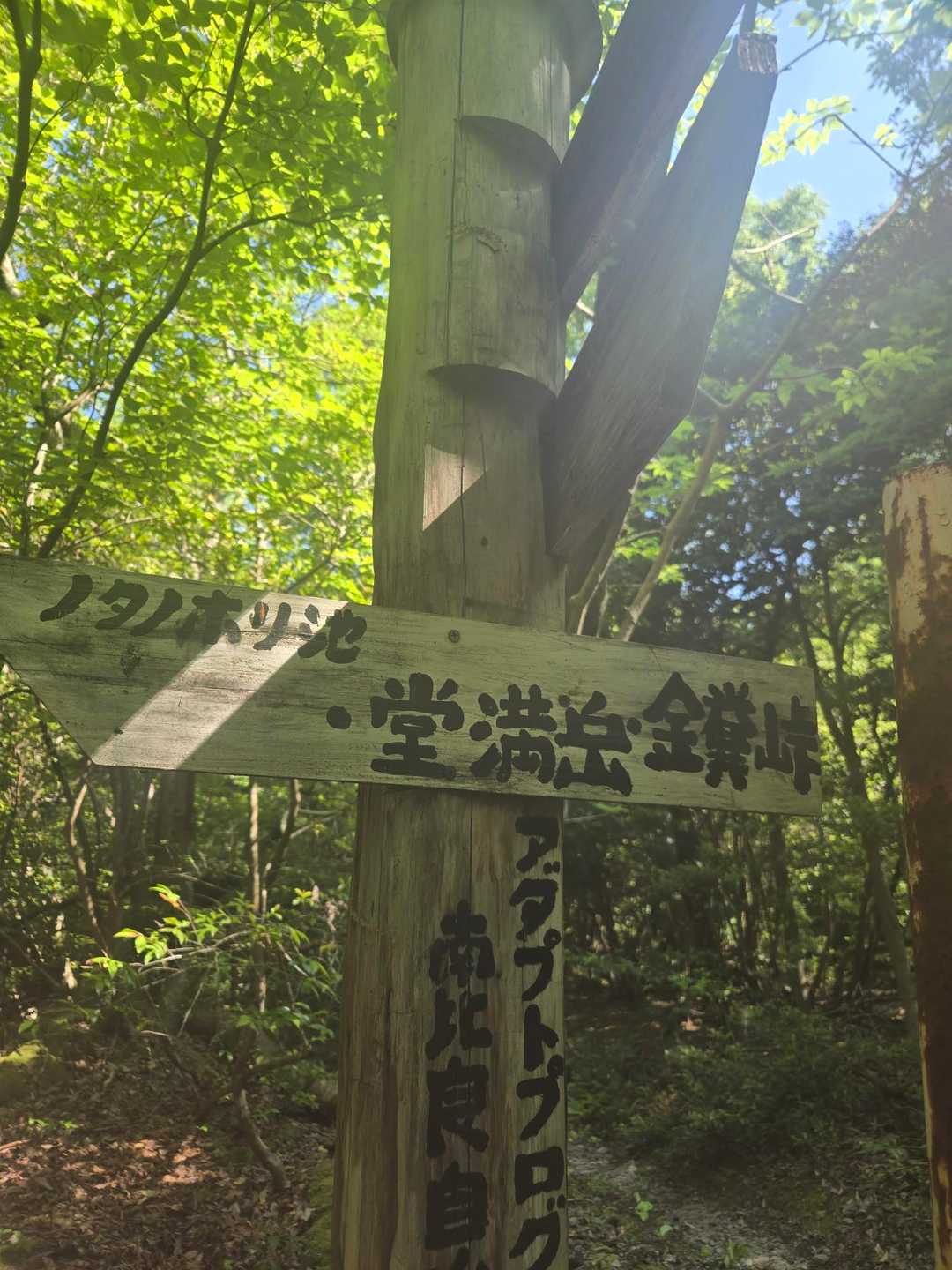 イン谷口バス停-ノタノホリ-堂満岳-金糞峠 周回コースの写真