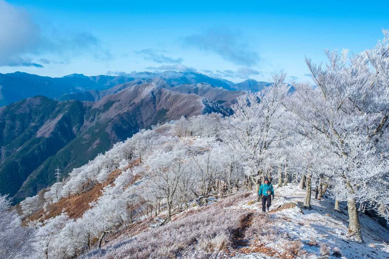 ヤーメンさん奇麗な写真撮るなら最新スマホ買ってね！