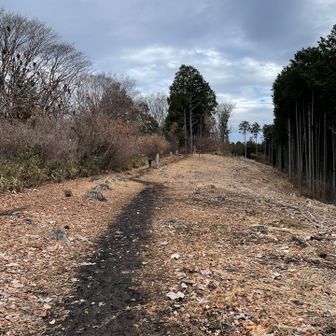 ここはなんだろう