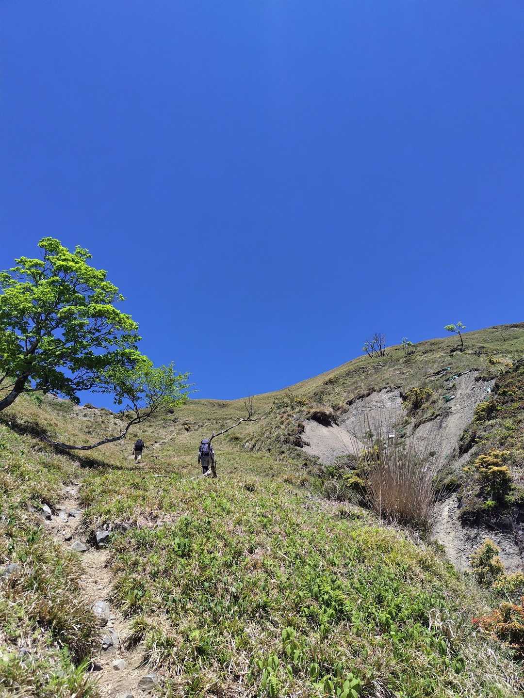青空が眩しくて✨️ 〜蓬莱山 / れもんの登山データ | YAMAP / ヤマップ