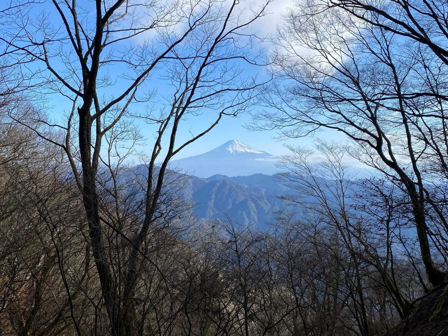 途中から富士山