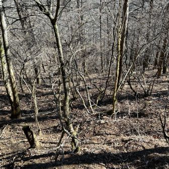 どこでしょう🦌🦌