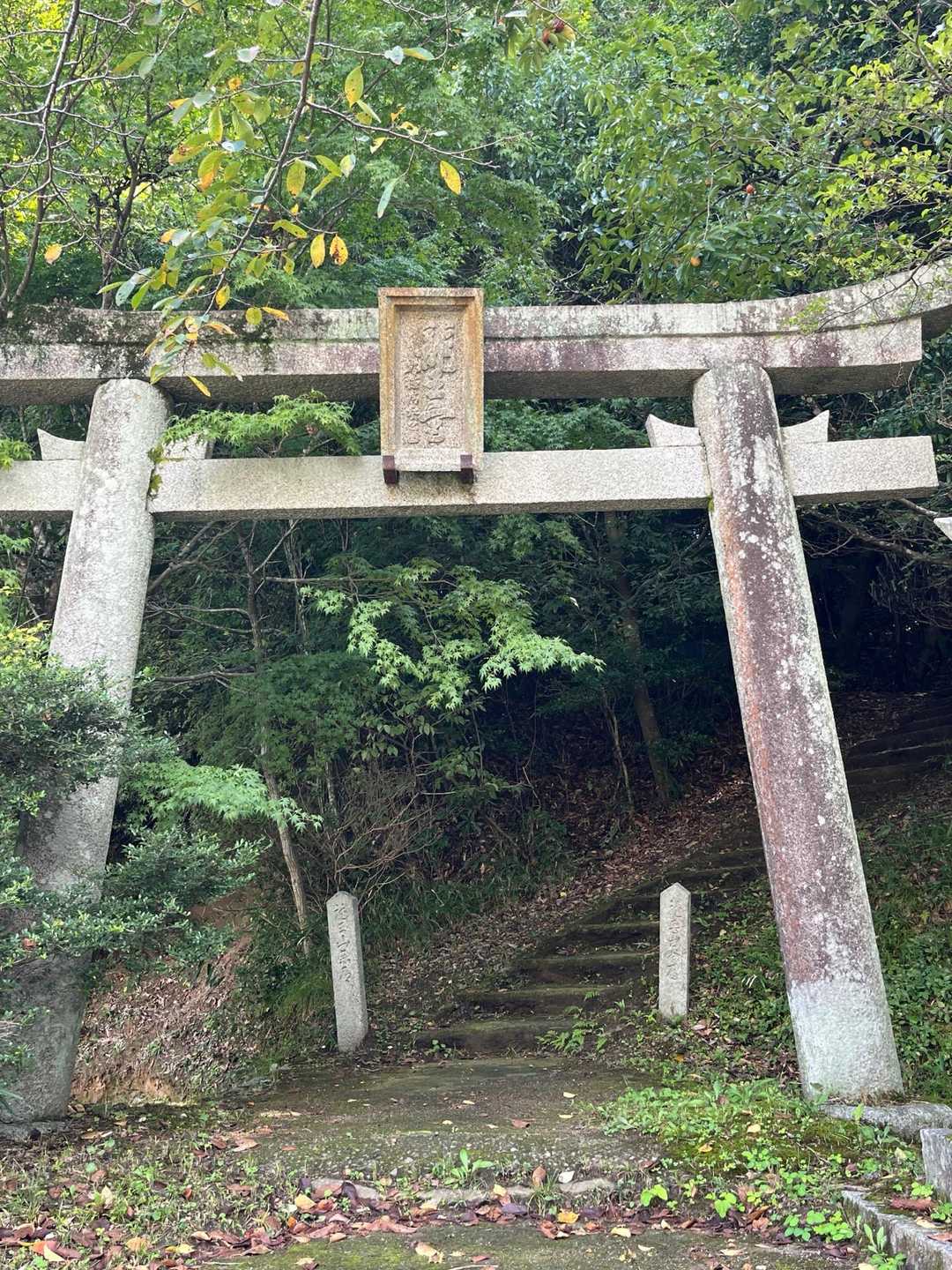 無事下山しました。ちょっと分かりにくい道を戻ってきたけどね〜