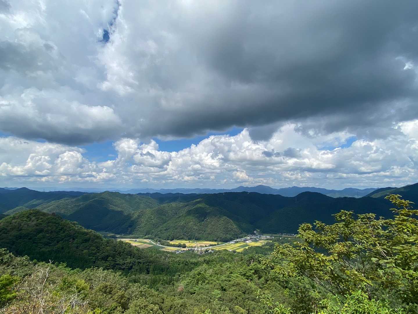 上の山-大野山 周回コースの写真