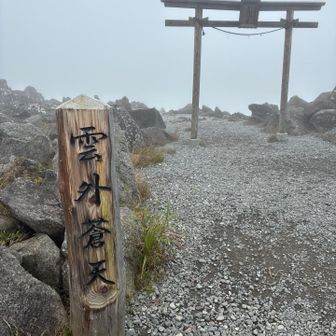 まさに雲外蒼天　