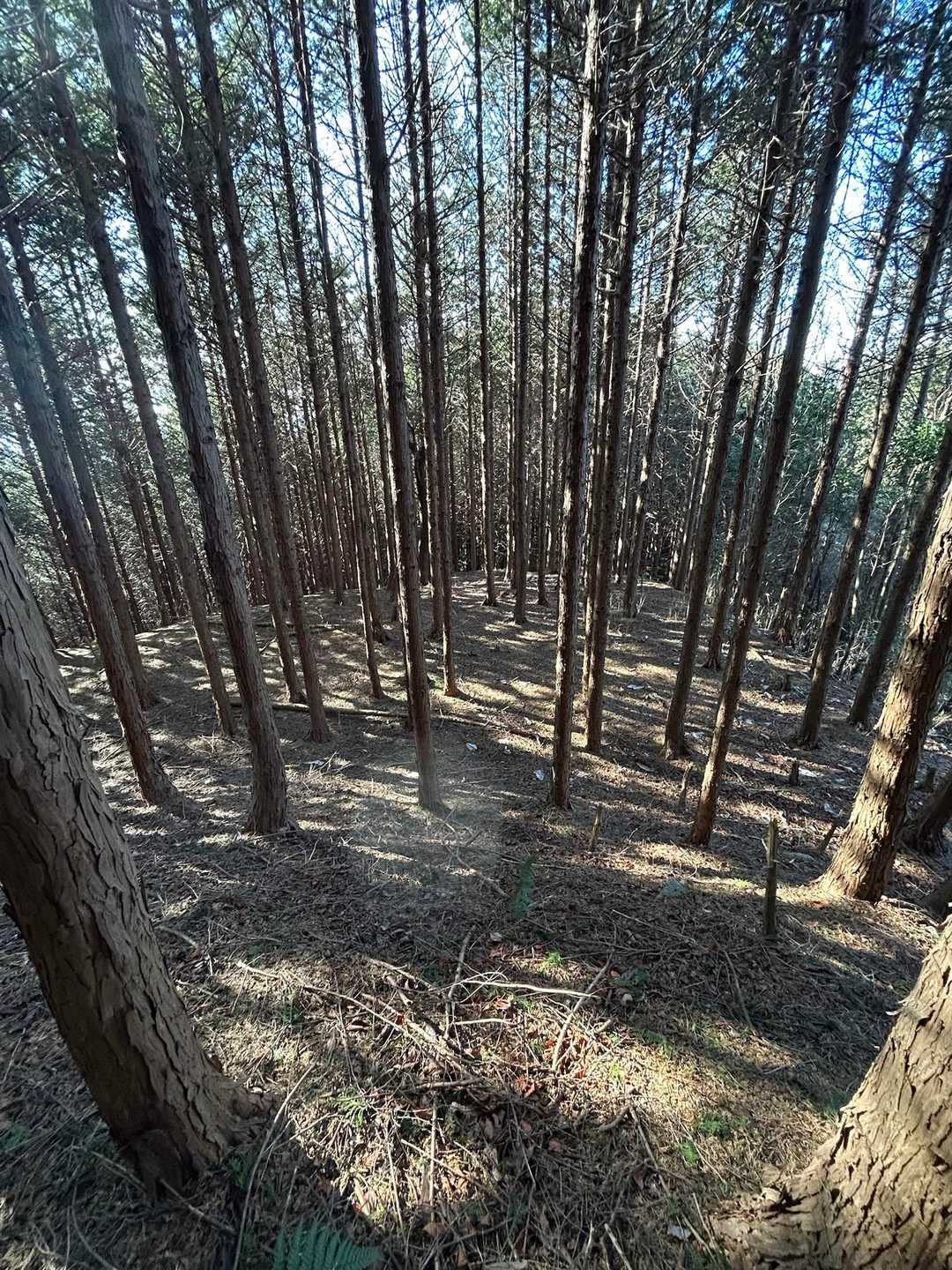 思いのほか遺構が残されていて、いい山行となりました💕