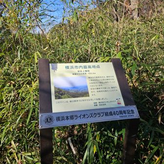 4座目、天園ですが、ここが最高点ということで