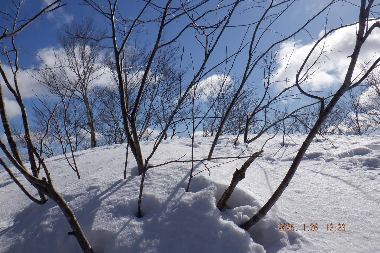 丁子山-湧谷山 往復コースの写真