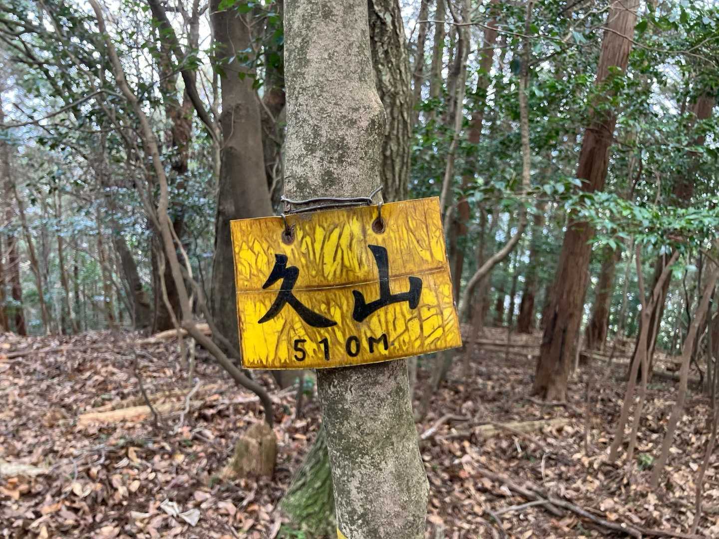 山頂