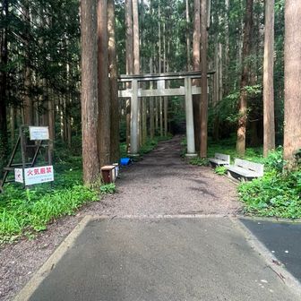 朱色の鳥居からさらに舗装路を登って分岐に来ました
登山道はここから
