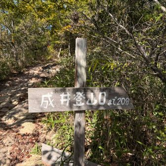 小高御位山へはここの分岐から
