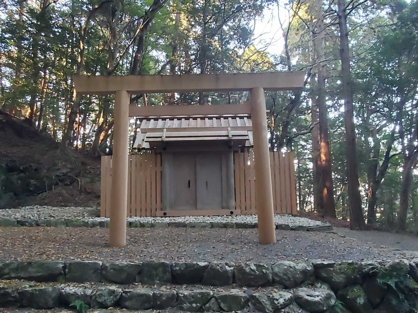 鴨神社には、いつも必ず参拝します⛩️